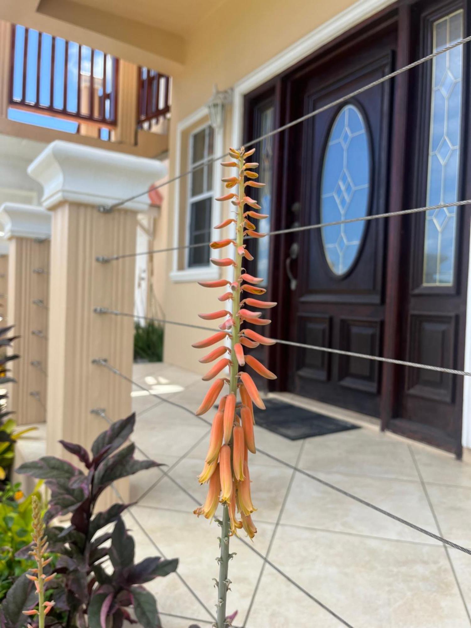 Appartamento Belle Breeze Haven Gros Islet Esterno foto