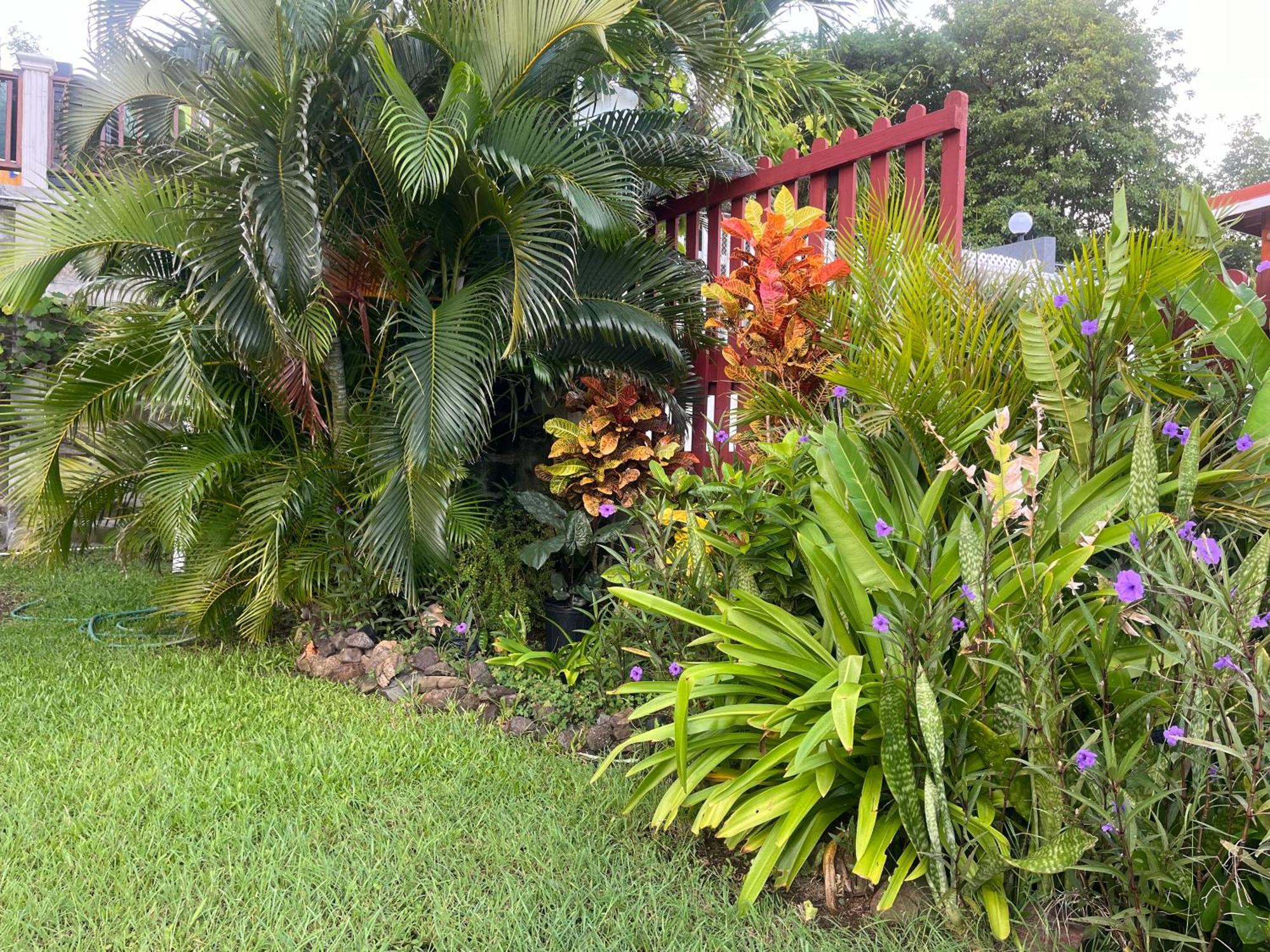 Appartamento Belle Breeze Haven Gros Islet Esterno foto